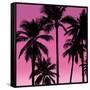 Palms Black on Pink I-Mia Jensen-Framed Stretched Canvas