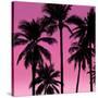 Palms Black on Pink I-Mia Jensen-Stretched Canvas