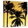 Palms Black on Yellow II-Mia Jensen-Stretched Canvas