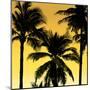 Palms Black on Yellow II-Mia Jensen-Mounted Art Print