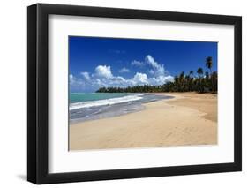 Palms Fringed Beach, Luquillo, Puerto Rico-George Oze-Framed Photographic Print