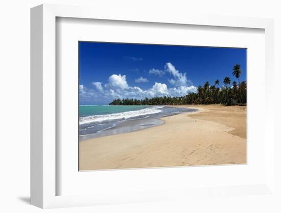 Palms Fringed Beach, Luquillo, Puerto Rico-George Oze-Framed Photographic Print