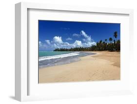 Palms Fringed Beach, Luquillo, Puerto Rico-George Oze-Framed Photographic Print