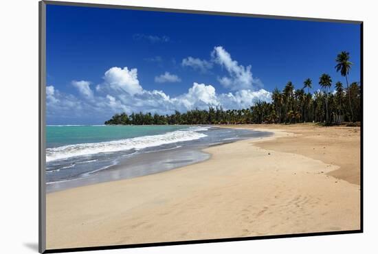 Palms Fringed Beach, Luquillo, Puerto Rico-George Oze-Mounted Photographic Print