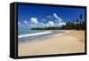 Palms Fringed Beach, Luquillo, Puerto Rico-George Oze-Framed Stretched Canvas