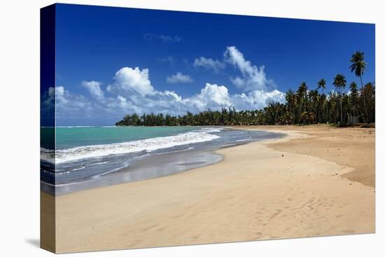 Palms Fringed Beach, Luquillo, Puerto Rico-George Oze-Stretched Canvas