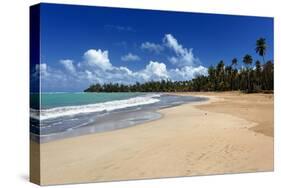 Palms Fringed Beach, Luquillo, Puerto Rico-George Oze-Stretched Canvas