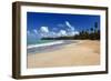 Palms Fringed Beach, Luquillo, Puerto Rico-George Oze-Framed Photographic Print