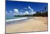 Palms Fringed Beach, Luquillo, Puerto Rico-George Oze-Mounted Photographic Print