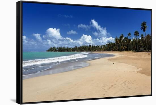 Palms Fringed Beach, Luquillo, Puerto Rico-George Oze-Framed Stretched Canvas