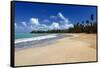 Palms Fringed Beach, Luquillo, Puerto Rico-George Oze-Framed Stretched Canvas