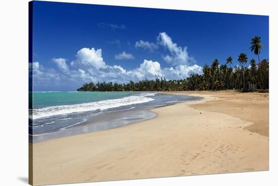 Palms Fringed Beach, Luquillo, Puerto Rico-George Oze-Stretched Canvas