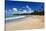 Palms Fringed Beach, Luquillo, Puerto Rico-George Oze-Stretched Canvas