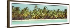 Palms Galore II-Acosta-Framed Premium Giclee Print