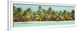Palms Galore II-Acosta-Framed Premium Giclee Print