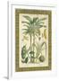 Palms in Bamboo II-Vision Studio-Framed Art Print