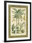 Palms in Bamboo II-Vision Studio-Framed Art Print