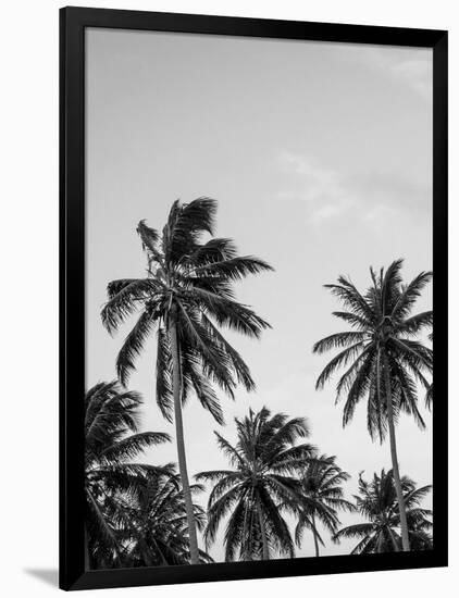 Palms in Grey-Design Fabrikken-Framed Photographic Print