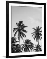 Palms in Grey-Design Fabrikken-Framed Photographic Print