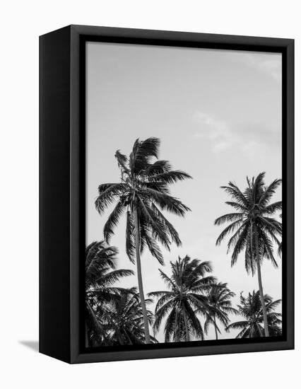 Palms in Grey-Design Fabrikken-Framed Stretched Canvas