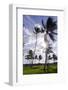 Palms in the Backlight in the Early Morning, Lummus Park, Miami South Beach-Axel Schmies-Framed Photographic Print