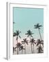 Palms in the City-PhotoINC Studio-Framed Art Print