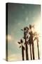 Palms in the Sun-Emily Navas-Stretched Canvas