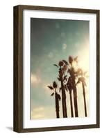 Palms in the Sun-Emily Navas-Framed Art Print