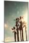 Palms in the Sun-Emily Navas-Mounted Art Print