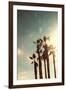 Palms in the Sun-Emily Navas-Framed Art Print