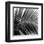 Palms, no. 10 (detail)-Jamie Kingham-Framed Giclee Print