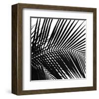 Palms, no. 10 (detail)-Jamie Kingham-Framed Giclee Print