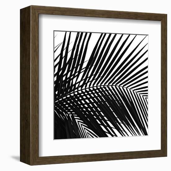 Palms, no. 10 (detail)-Jamie Kingham-Framed Giclee Print