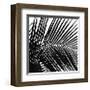 Palms, no. 10 (detail)-Jamie Kingham-Framed Giclee Print