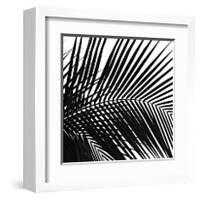 Palms, no. 10 (detail)-Jamie Kingham-Framed Giclee Print