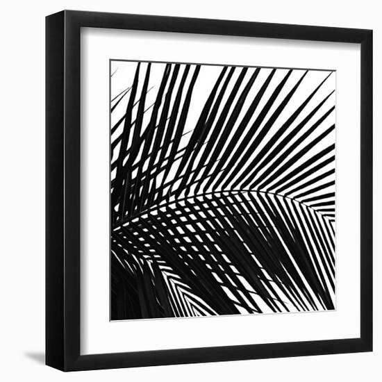 Palms, no. 10 (detail)-Jamie Kingham-Framed Giclee Print