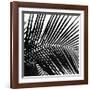 Palms, no. 10 (detail)-Jamie Kingham-Framed Giclee Print