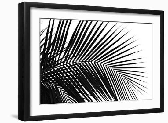 Palms, no. 10-Jamie Kingham-Framed Giclee Print
