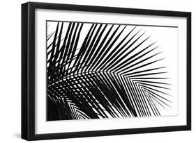 Palms, no. 10-Jamie Kingham-Framed Giclee Print