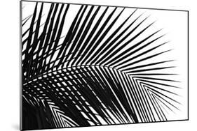 Palms, no. 10-Jamie Kingham-Mounted Giclee Print