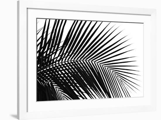 Palms, no. 10-Jamie Kingham-Framed Giclee Print