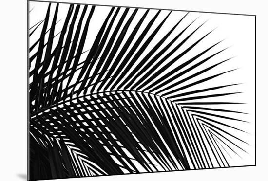 Palms, no. 10-Jamie Kingham-Mounted Giclee Print