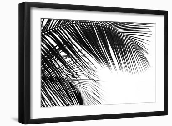 Palms, no. 11-Jamie Kingham-Framed Giclee Print