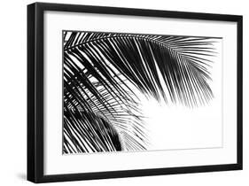 Palms, no. 11-Jamie Kingham-Framed Giclee Print