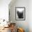 Palms, no. 12-Jamie Kingham-Framed Giclee Print displayed on a wall