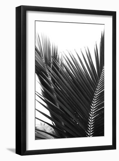 Palms, no. 12-Jamie Kingham-Framed Giclee Print