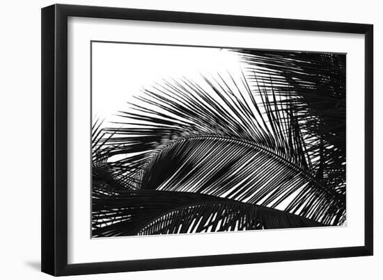 Palms, no. 13-Jamie Kingham-Framed Giclee Print