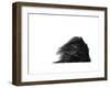 Palms, no. 1-Jamie Kingham-Framed Giclee Print