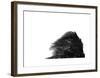 Palms, no. 1-Jamie Kingham-Framed Giclee Print