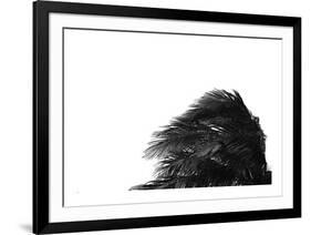 Palms, no. 1-Jamie Kingham-Framed Giclee Print